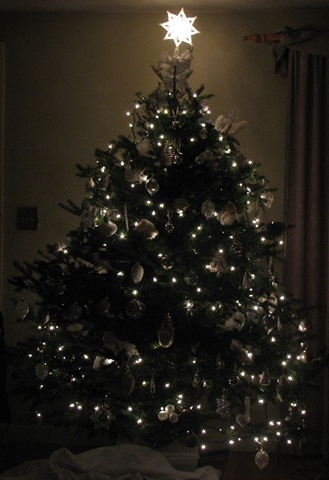 [2010 Xmas tree[3].jpg]