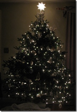 2010 Xmas tree