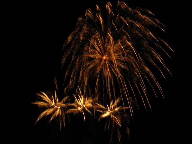 [fireworks 006[3].jpg]