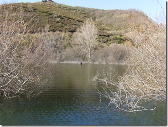 APERTURA 2011 017