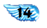 Numero 14