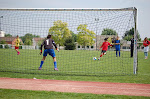 dsc_0175.jpg