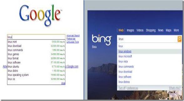 bing vs google[8]