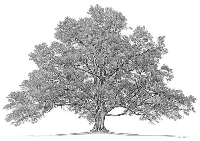 [Family Tree[4].jpg]