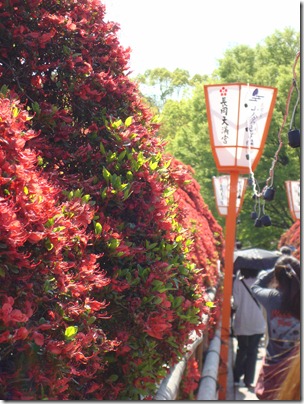DSC01252