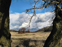 IMGP1676w.jpg Photo