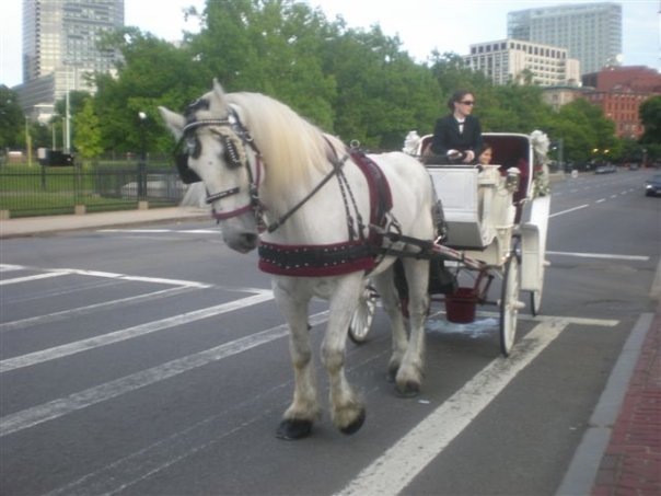 [emily driving1[2].jpg]