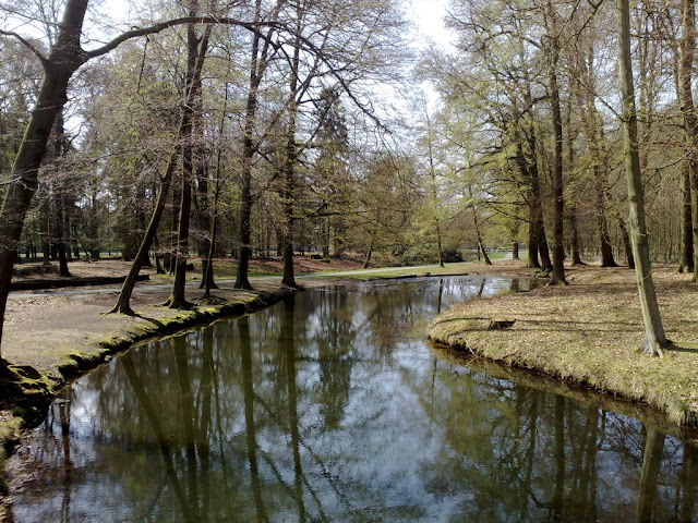 Frühlingsimpression aus dem Dülmener Wildpark in der Nähe des Merfelder Bruchs