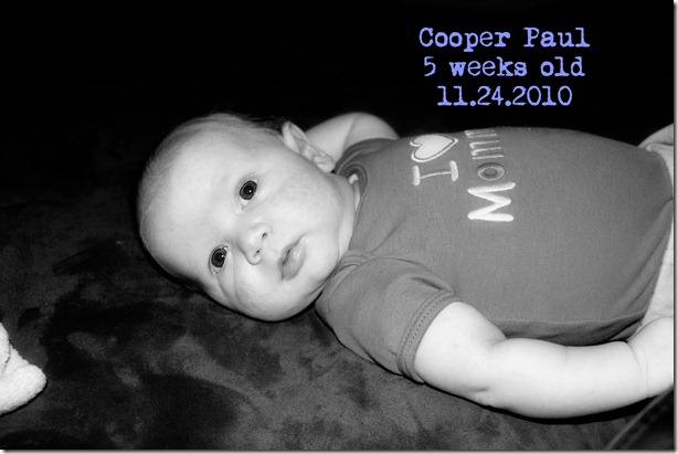 Cooper 5 weeks old