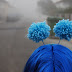 Blue Head Pompoms Blue Head Pompoms
