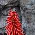 Red Beacon