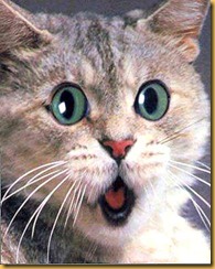 surprise