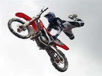 MW294499e.jpg