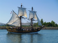 MW245642e.jpg