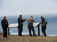 IMG_2916.JPG