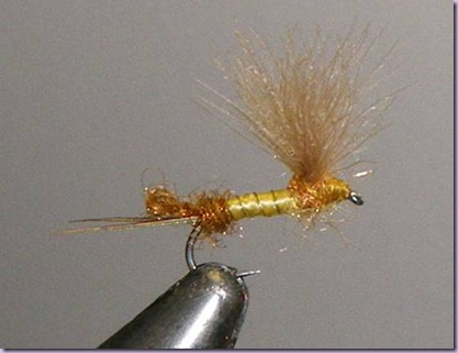 clip_image040 clip_image040