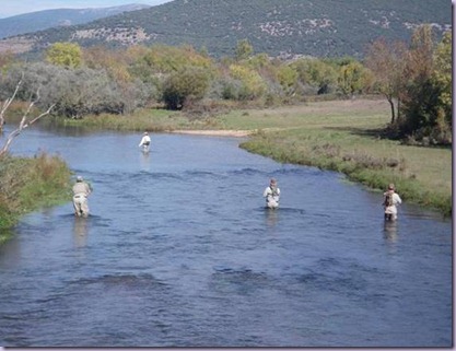 clip_image002 clip_image002