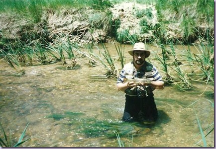 clip_image014 clip_image014