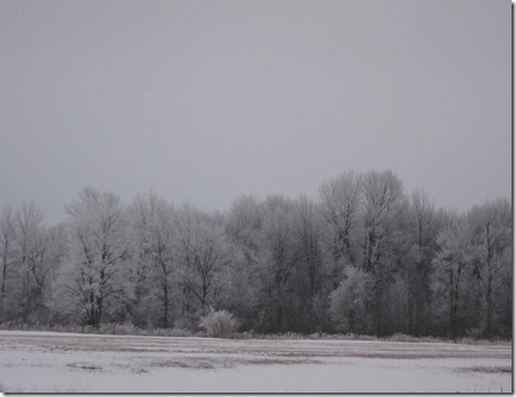 Jan 19-20, 2010 020