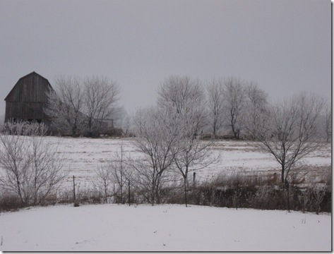 Jan 19-20, 2010 021
