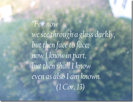 Through a glass darkly - picture taken 4-14-10