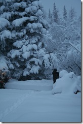 wintersnow 012