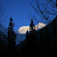 Early morning on Rogers Pass. Photo by Julie Weinberger.