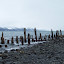 Seward