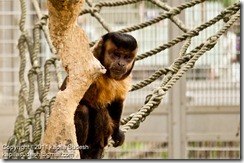 DSC_1881 DSC_1881