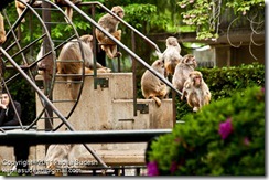 DSC_1829 DSC_1829