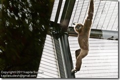 DSC_1892 DSC_1892