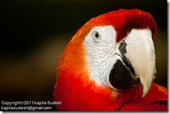 DSC_1923 DSC_1923