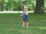 Hmm... what can I do with this stick?