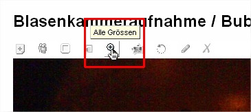 Screenshot Flickr Lupe