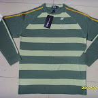 dg02