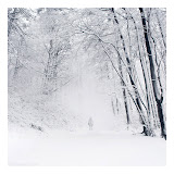 Winter And Autumn