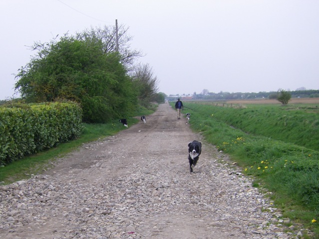 [Walkies 013[3].jpg]
