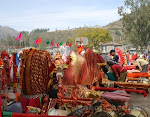 DSC_0358.jpg