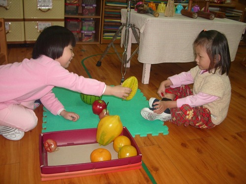 工作-逸與容水果模型