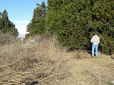 IMG_9181.JPG