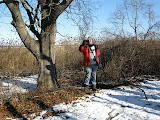 IMG_9213.JPG