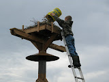 3-8-09,sfs,osprey platform175.JPG