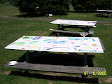 Copy of Pictures 124.jpg