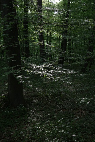 IMG_3052 (2) IMG_3052 (2)