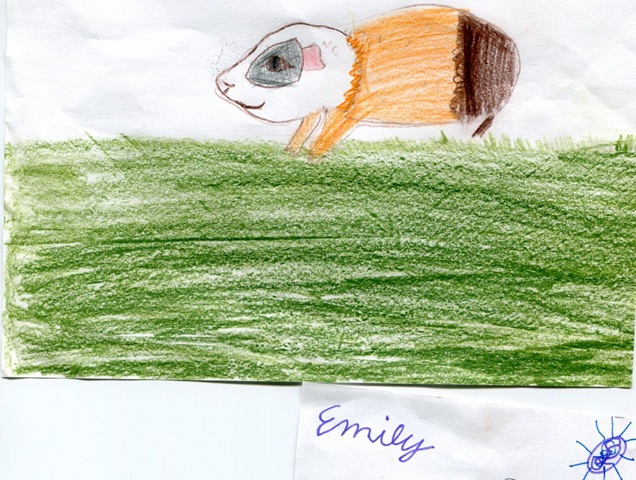 [emily guinea pig 20091009 (1024x773)[3].jpg]