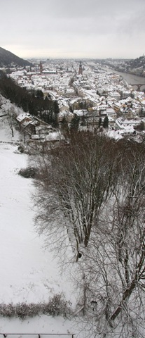 [altstadt snowy vert_4475 Panorama (552x1280)[3].jpg]