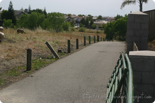 IMG_0004 IMG_0004