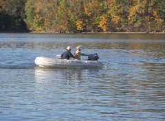 dinghy race 2