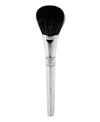 dior brush
