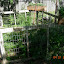 srats56's Herb 2009 garden